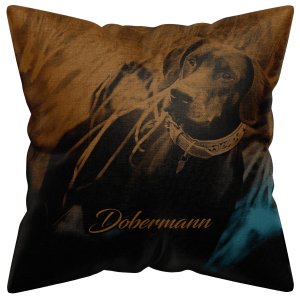 Dobermann