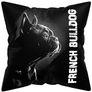 Francia Bulldog