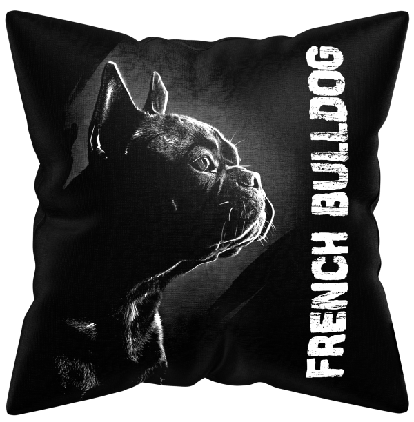 Francia Bulldog