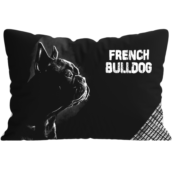 Francia Bulldog