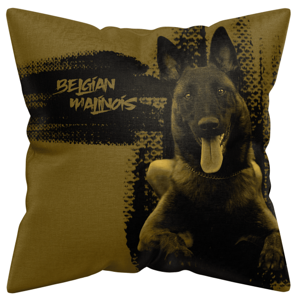 Belga Juhász (Malinois)